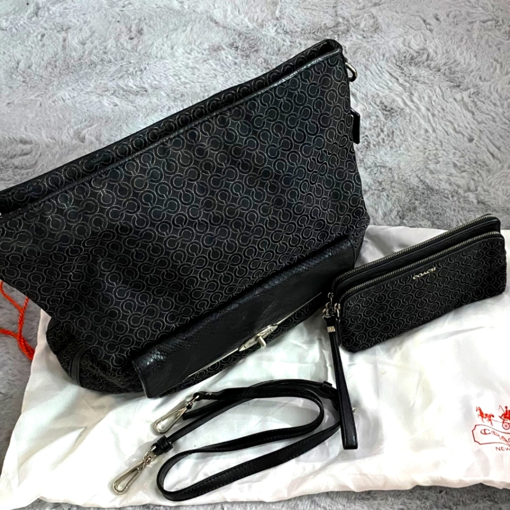 COACH Madison Op Art Pearlescent Hobo Silver/Black